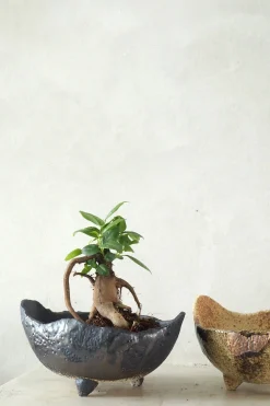 PLANT Japansk bonsai krukke, håndlavet, brun Outlet