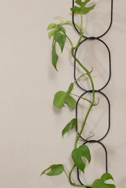 PLANT Klatrestøtte, sort Discount
