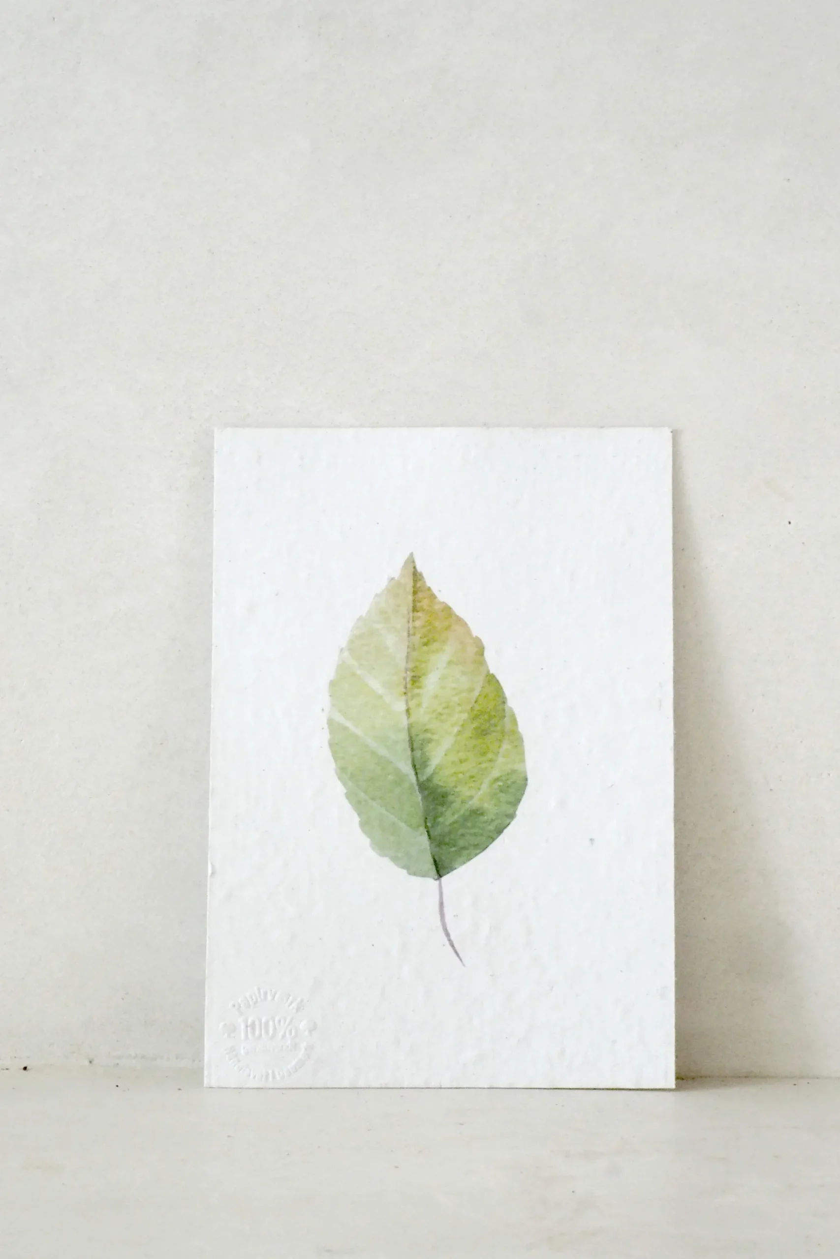 PLANT Kort - blad no. 3 - 100% genanvendt papir