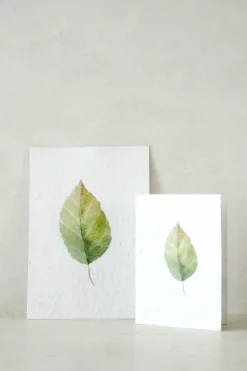 PLANT Kort - blad no. 3 - 100% genanvendt papir