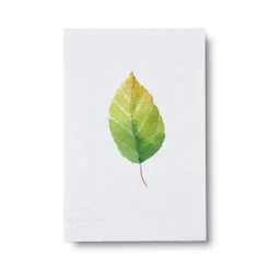 PLANT Kort - blad no. 3 - 100% genanvendt papir