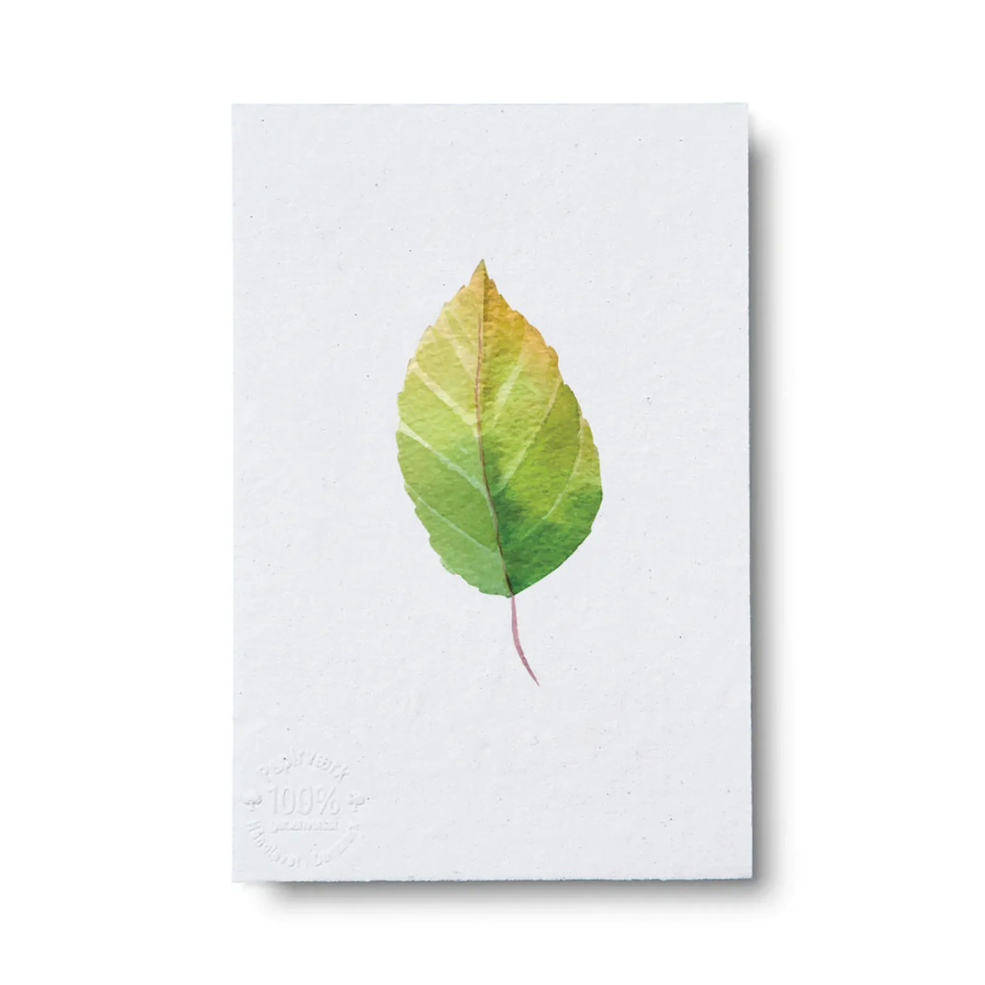 PLANT Kort - blad no. 3 - 100% genanvendt papir