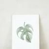 PLANT Kort - blad no. 2 - 100% genanvendt papir Discount