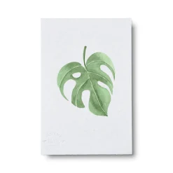 PLANT Kort - blad no. 2 - 100% genanvendt papir Discount