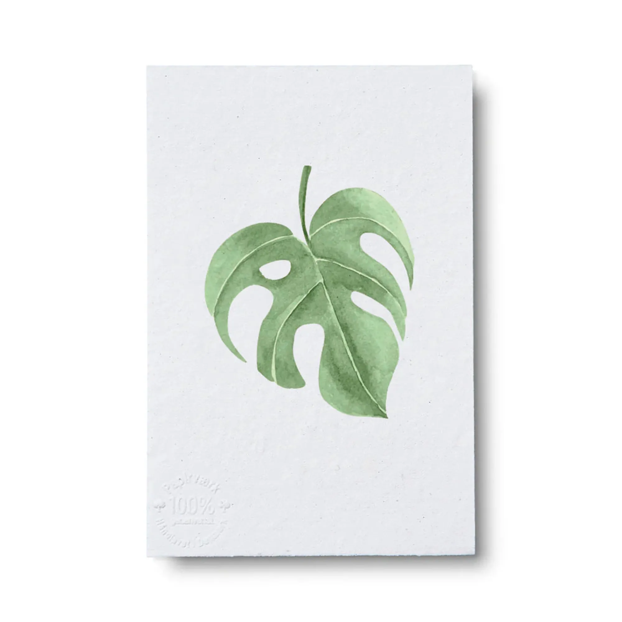 PLANT Kort - blad no. 2 - 100% genanvendt papir Discount
