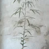 PLANT Kærlighedstræ (Trefod) medium Discount