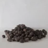 PLANT Leca New