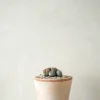 PLANT Levende Sten - mini