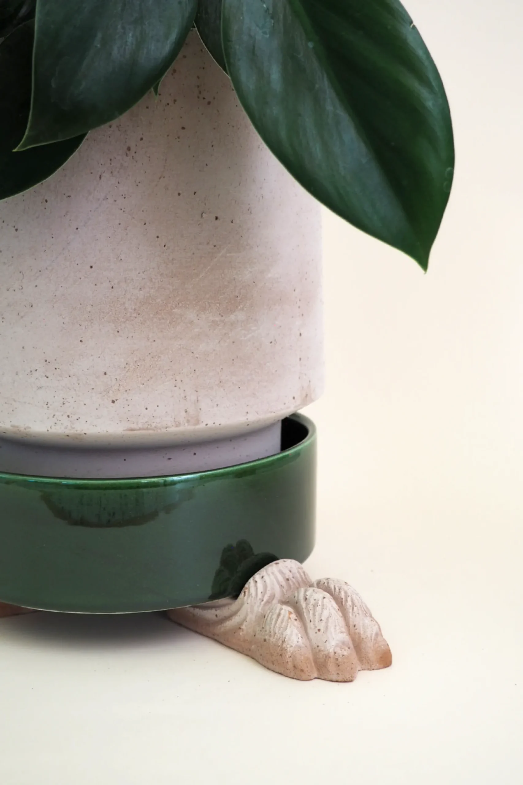 PLANT Løvefødder Discount
