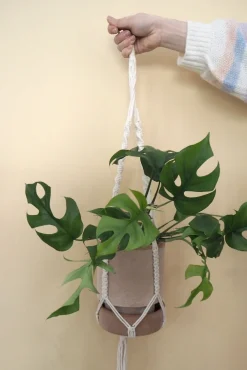 PLANT Macramé eophæng Best