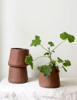 PLANT Maitoinen krukke Hot