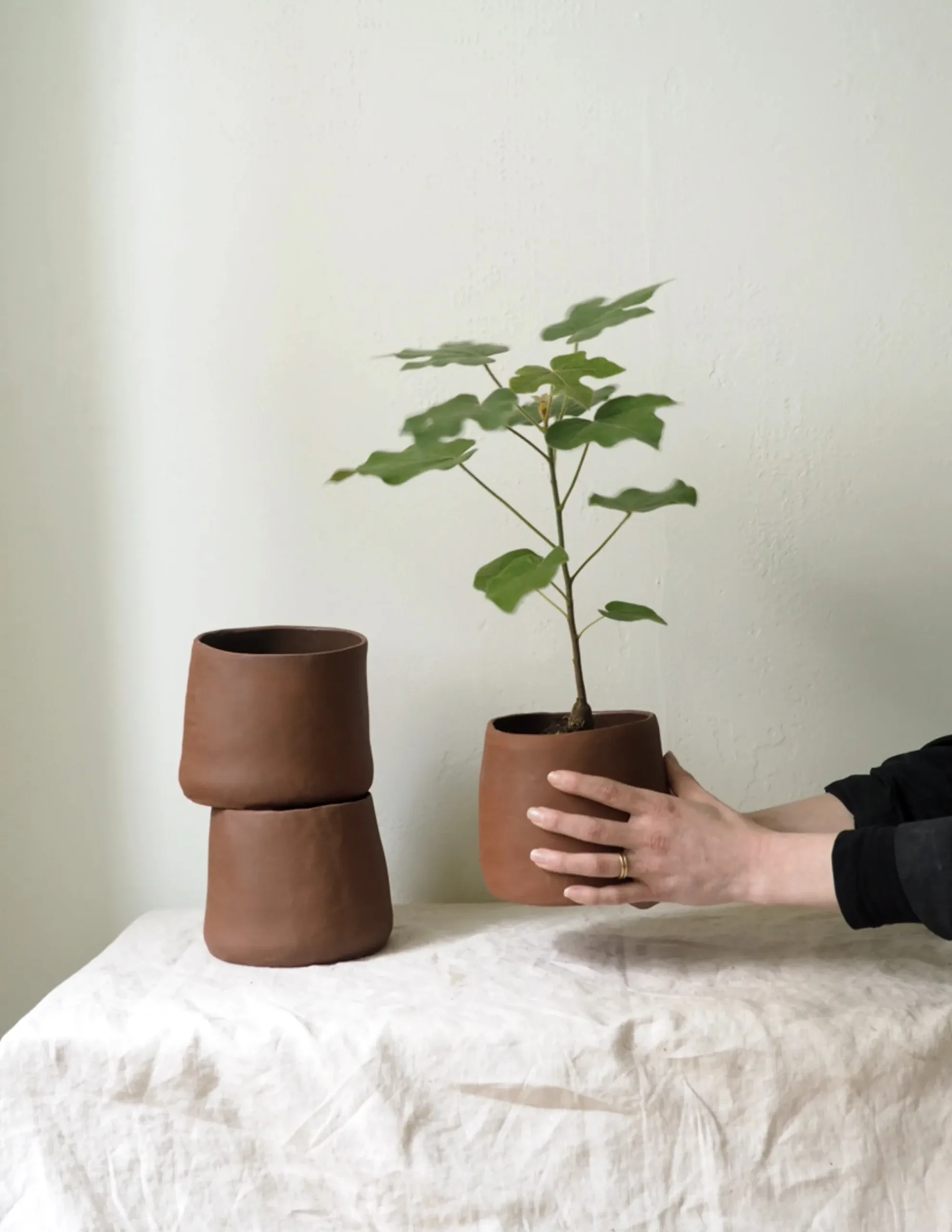 PLANT Maitoinen krukke Hot