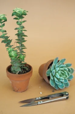 PLANT Mini beskærersaks New