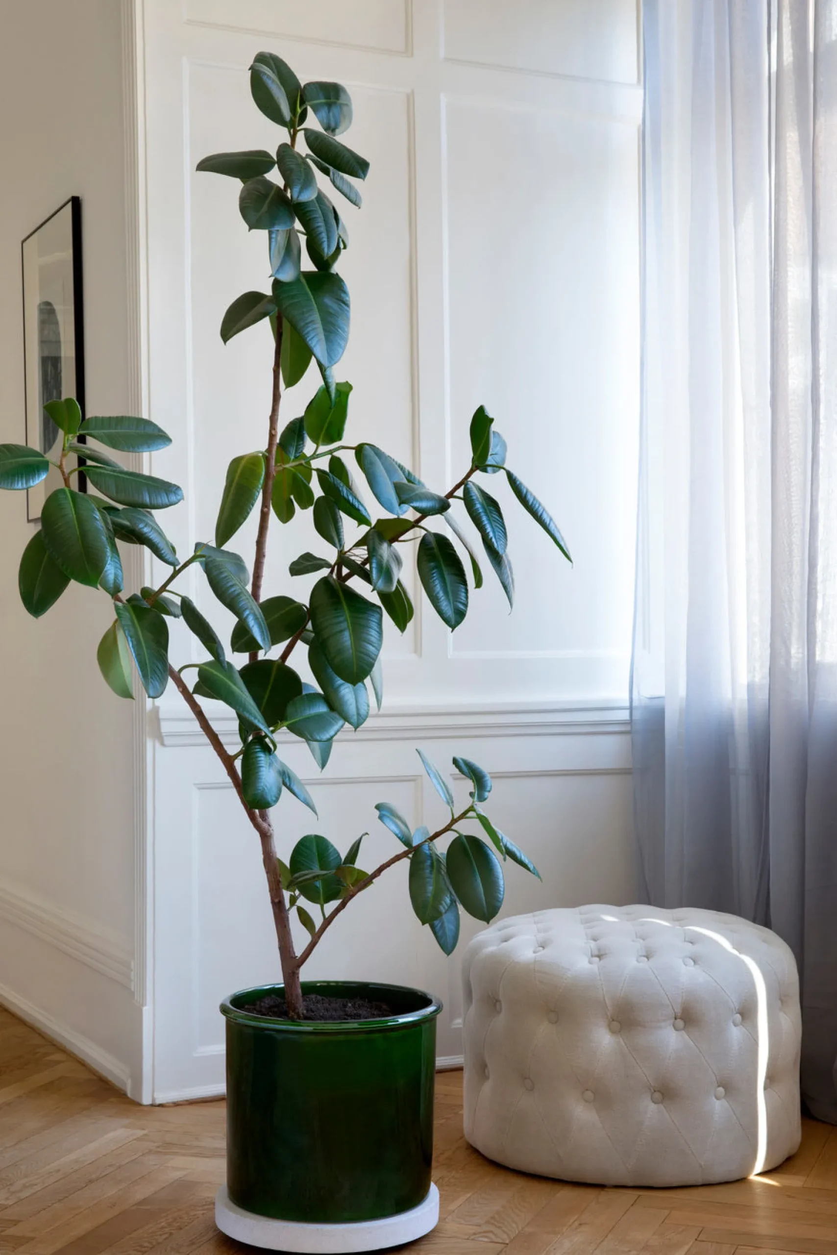 PLANT Modena gulvkrukke - Emerald Green