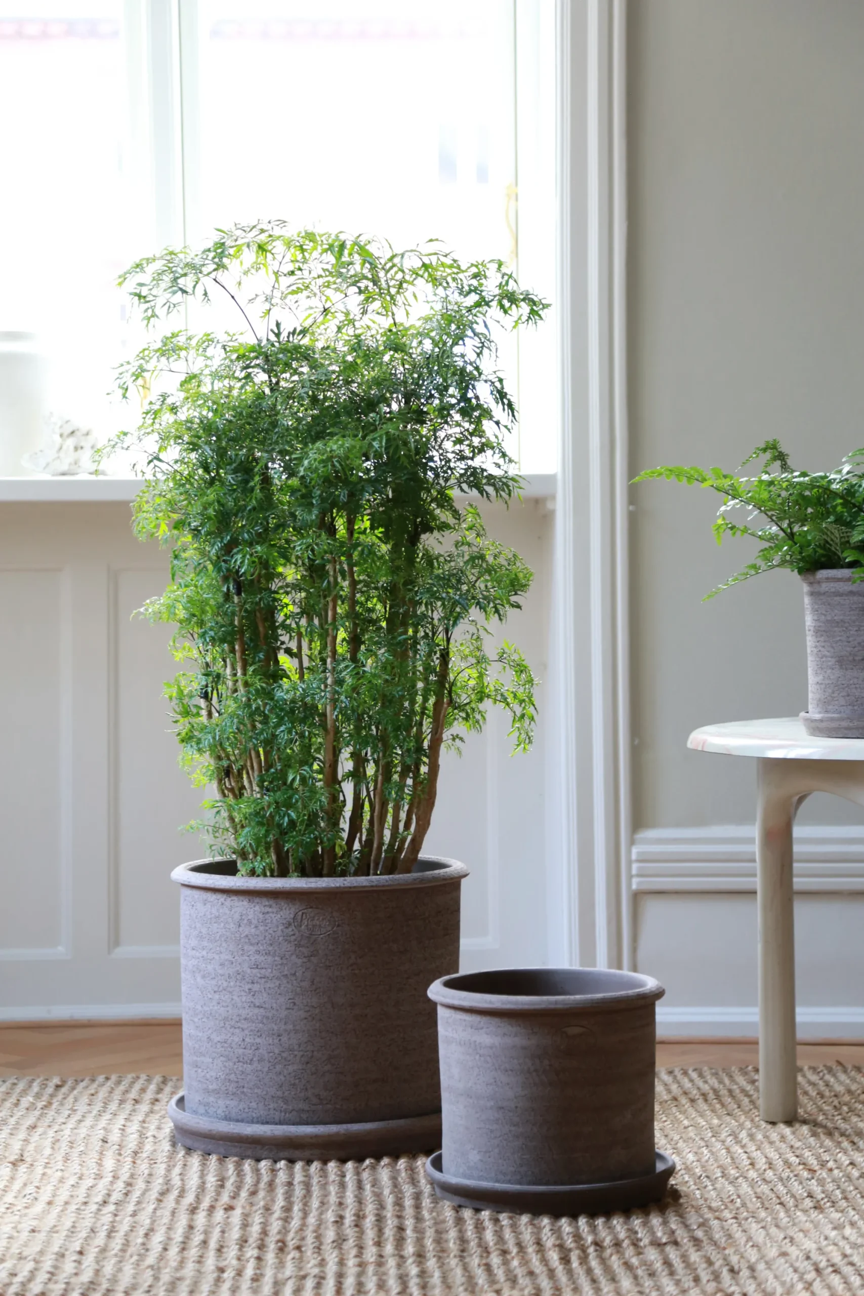 PLANT Modena gulvkrukke - raw grey Hot