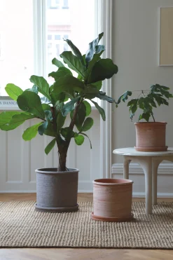 PLANT Modena gulvkrukke - raw rosa Outlet
