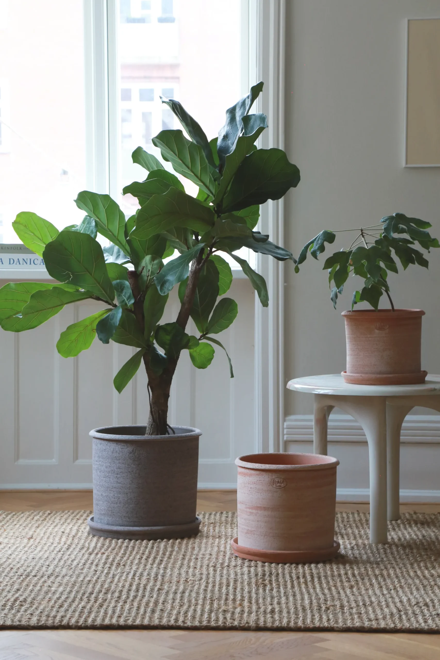 PLANT Modena gulvkrukke - raw rosa Outlet