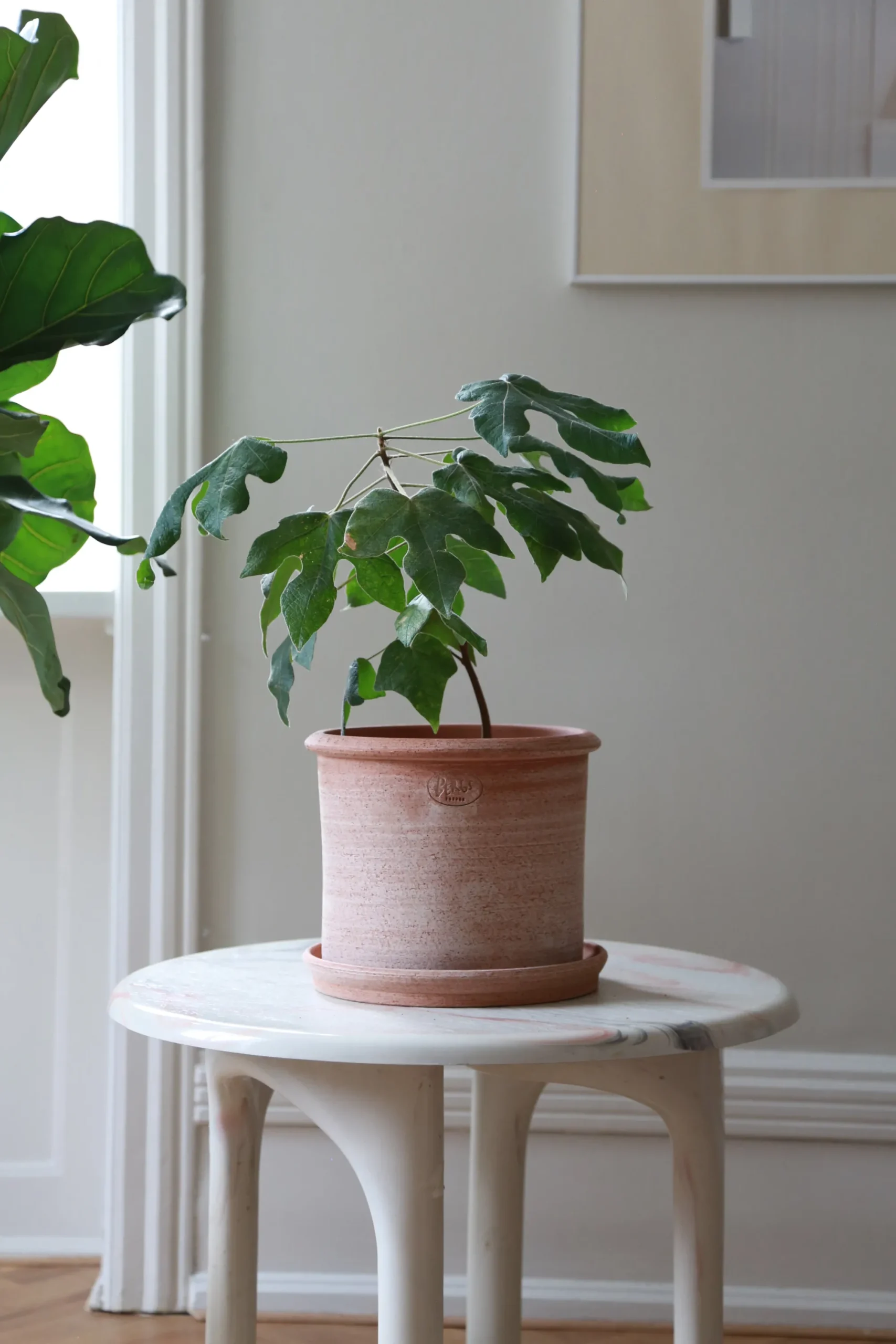 PLANT Modena gulvkrukke - raw rosa Outlet