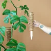 PLANT Mosstok Online