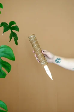 PLANT Mosstok Online