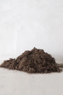 PLANT Muldjord Hot