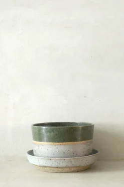 PLANT Nina Frigg medium no. 5 Outlet