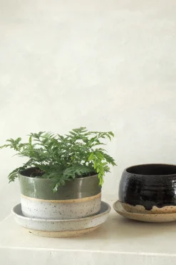 PLANT Nina Frigg medium no. 5 Outlet