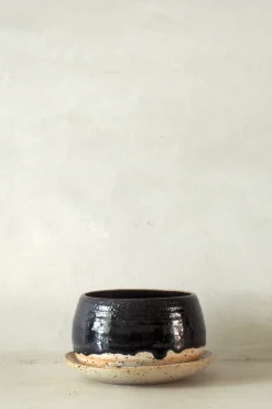 PLANT Nina Frigg medium no. 4 Online