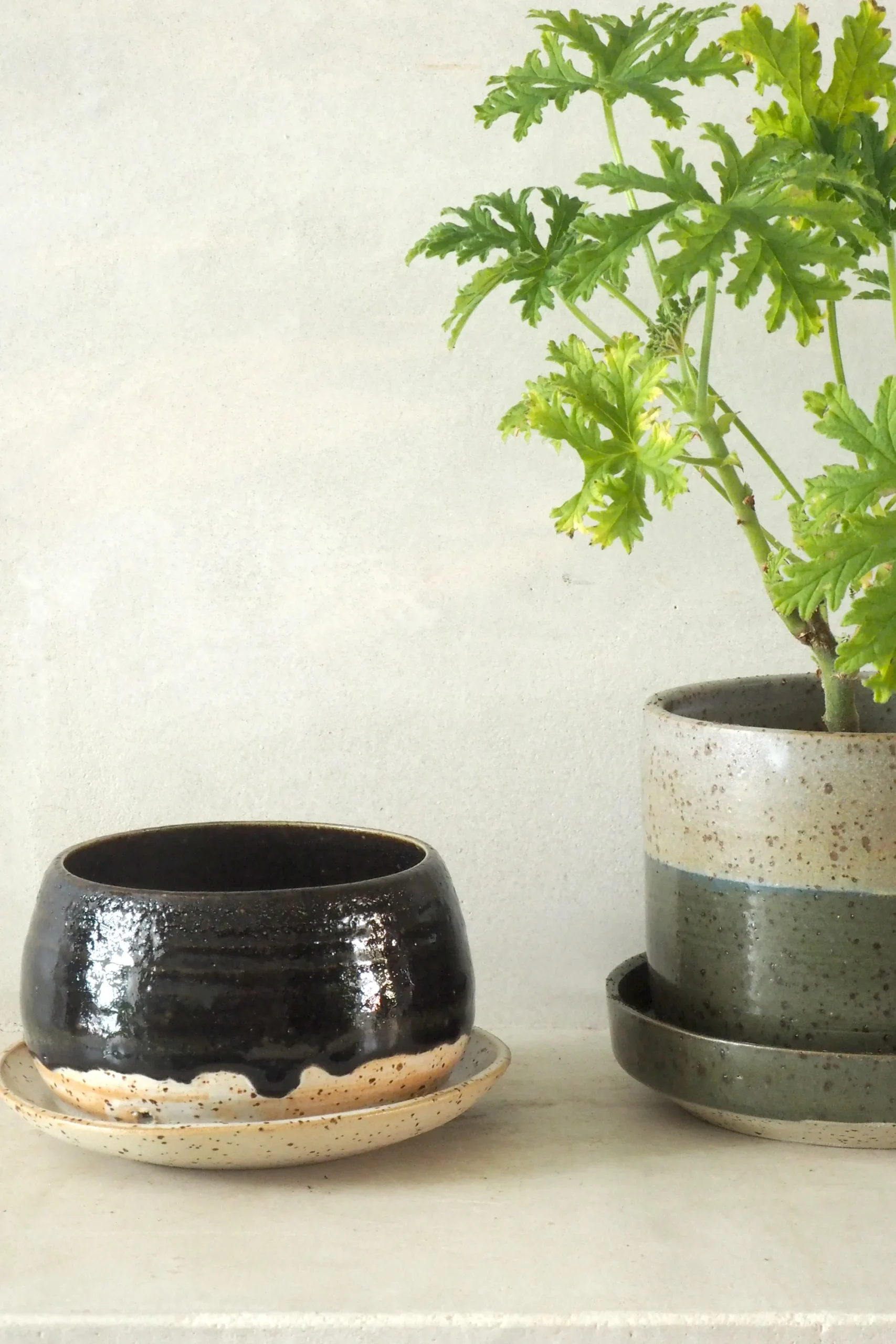 PLANT Nina Frigg medium no. 4 Online