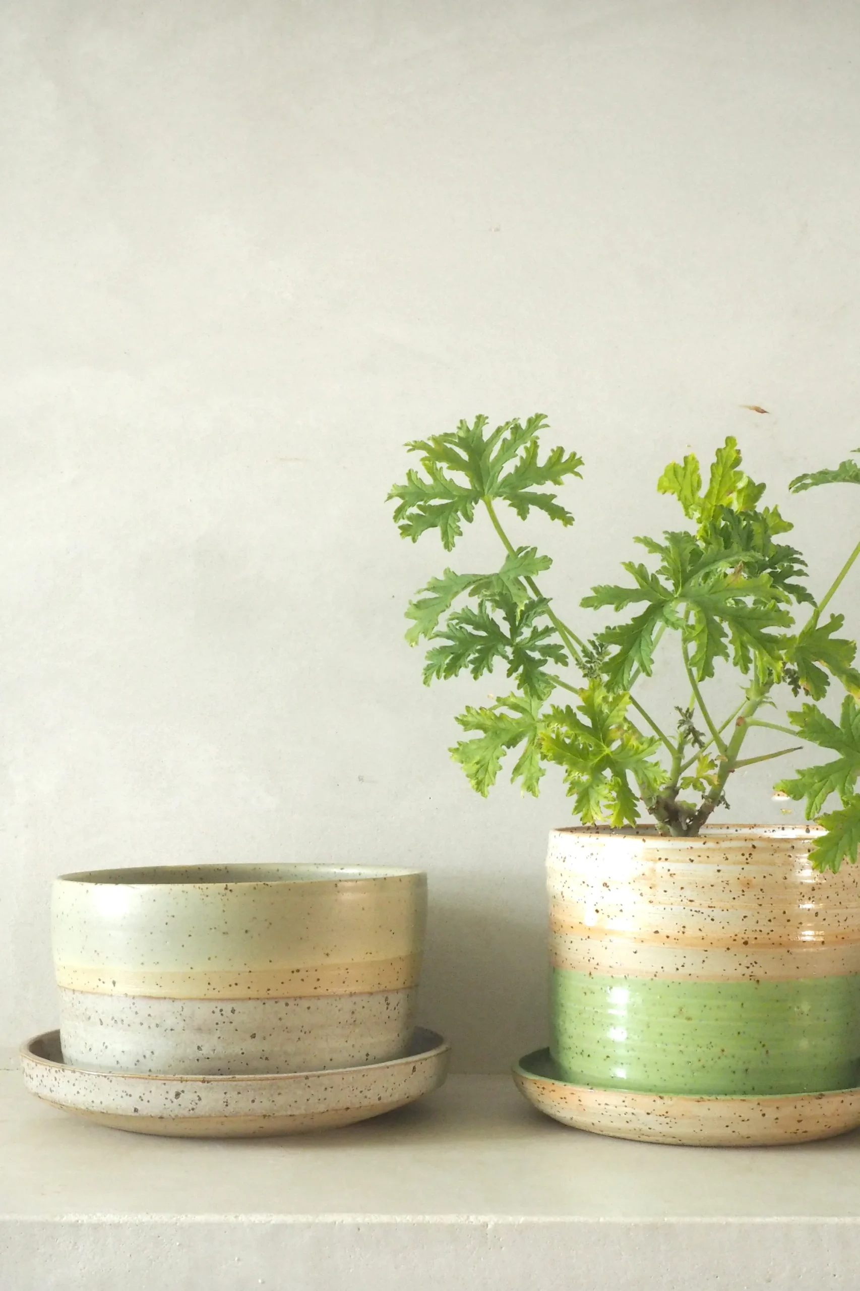 PLANT Nina Frigg stor no. 7 Online