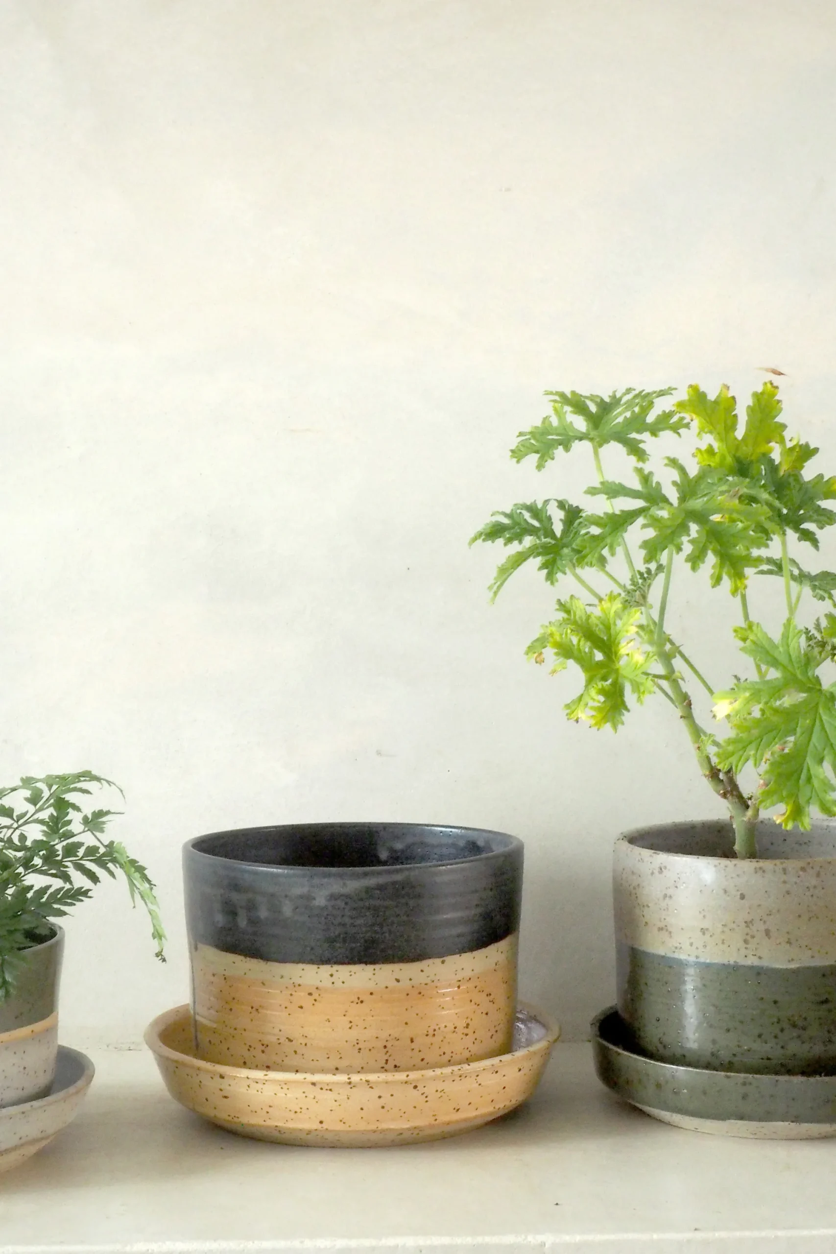 PLANT Nina Frigg stor no. 11
