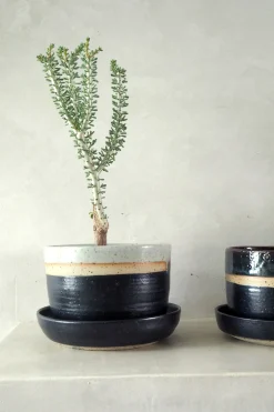 PLANT Nina Frigg stor no. 1 Outlet