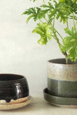 PLANT Nina Frigg stor no. 8 Clearance