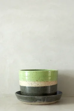 PLANT Nina Frigg stor no. 9