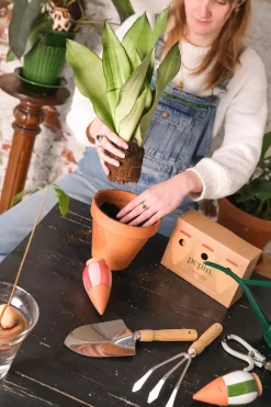 PLANT Olla selvvander mini - 3 stk Hot