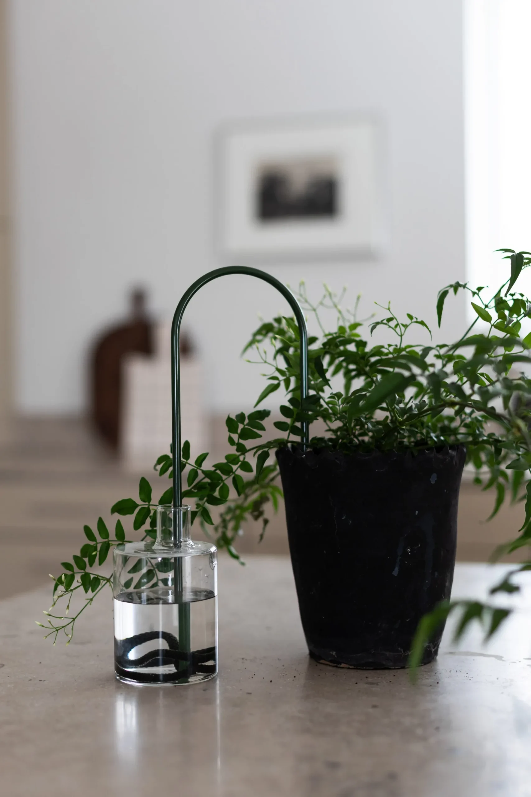 PLANT Straws, Grøn Discount