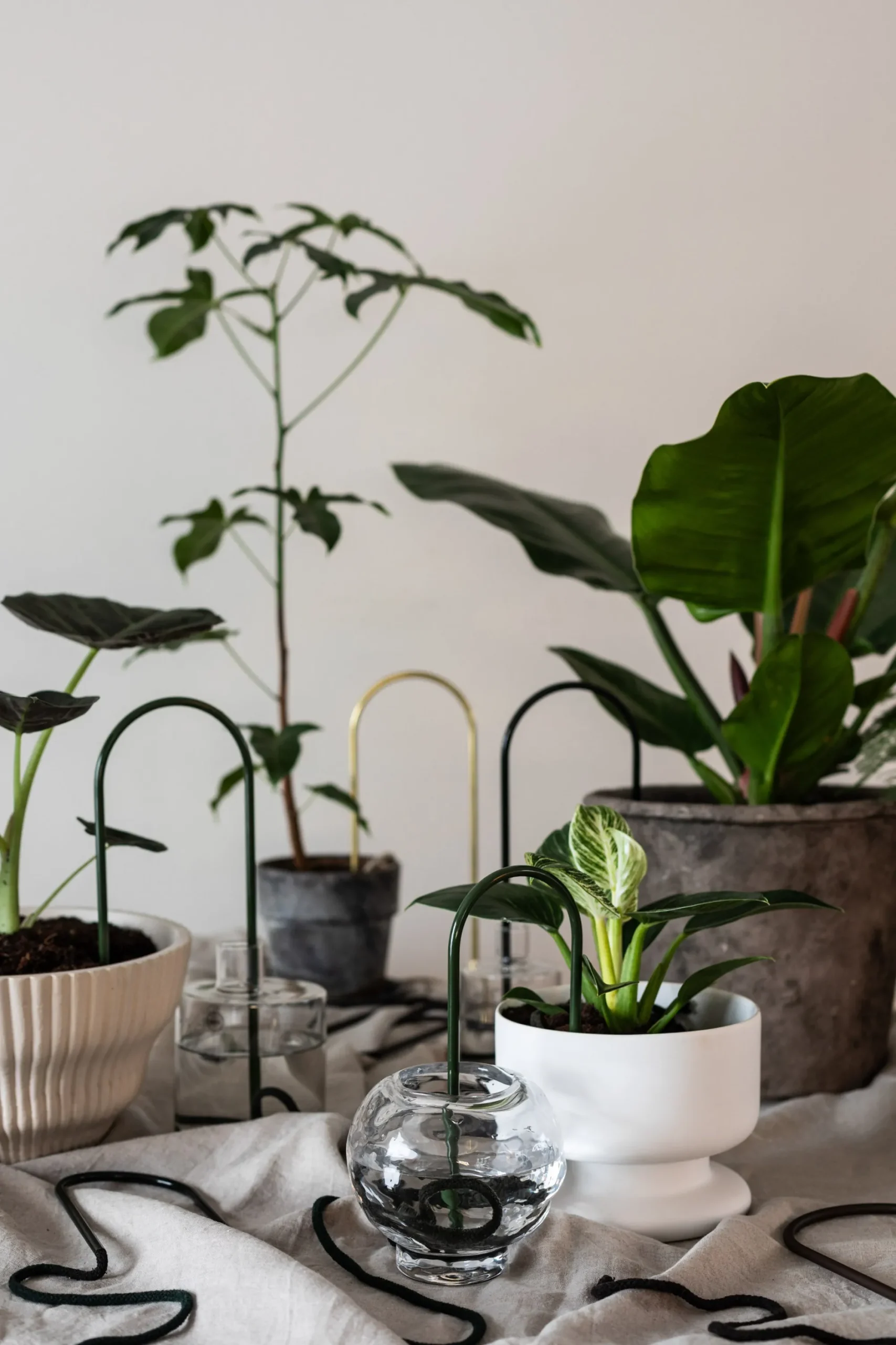 PLANT Straws, Grøn Discount