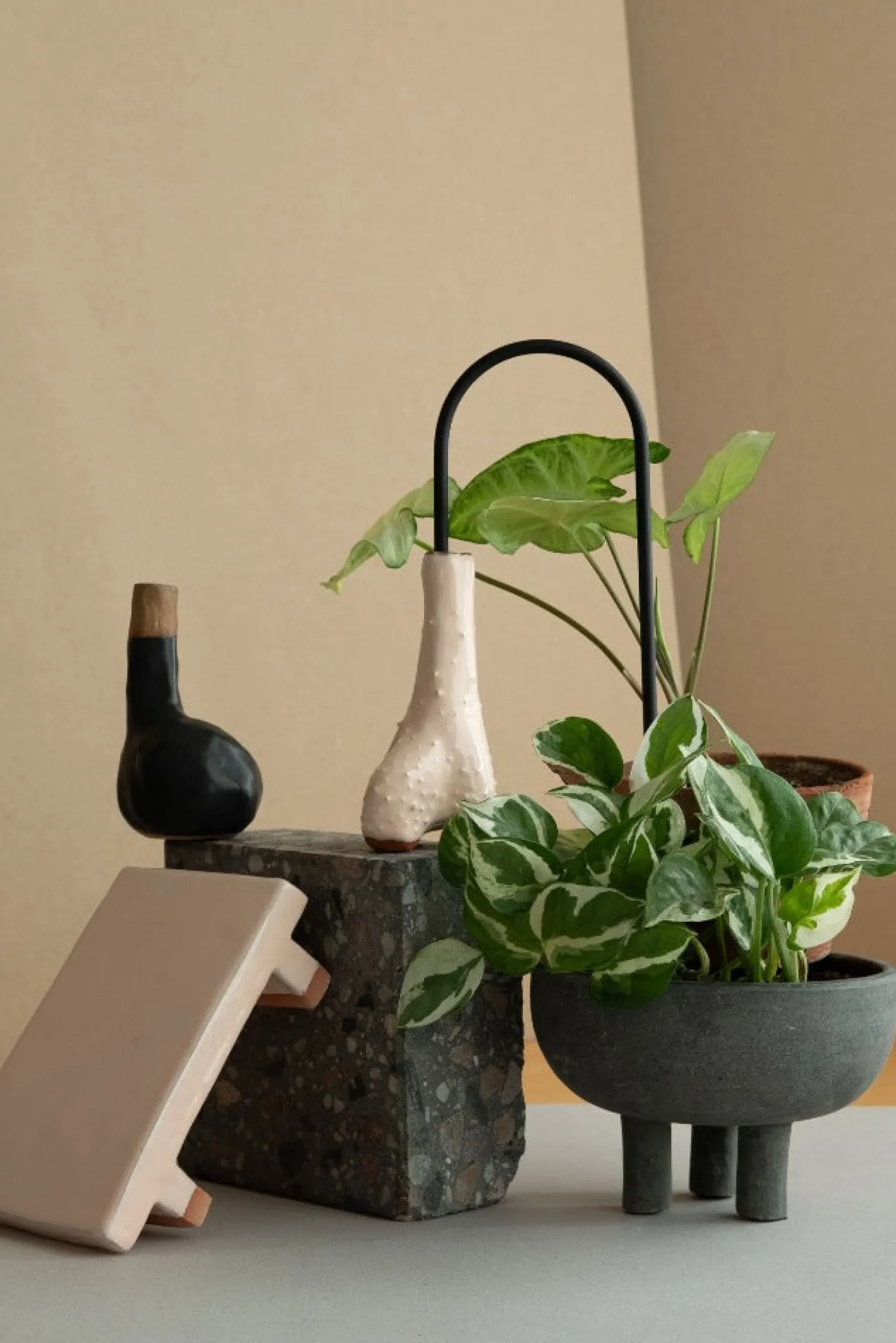 PLANT Straws, sort Clearance