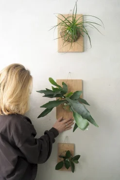 PLANT etrofæ, Hjortetak, small Online