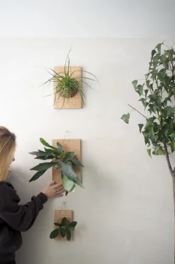 PLANT etrofæ, Hjortetak, small Online
