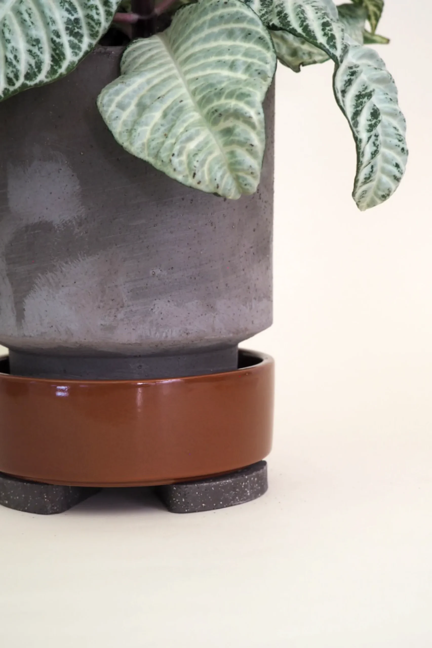 PLANT Pottefødder, grå Discount