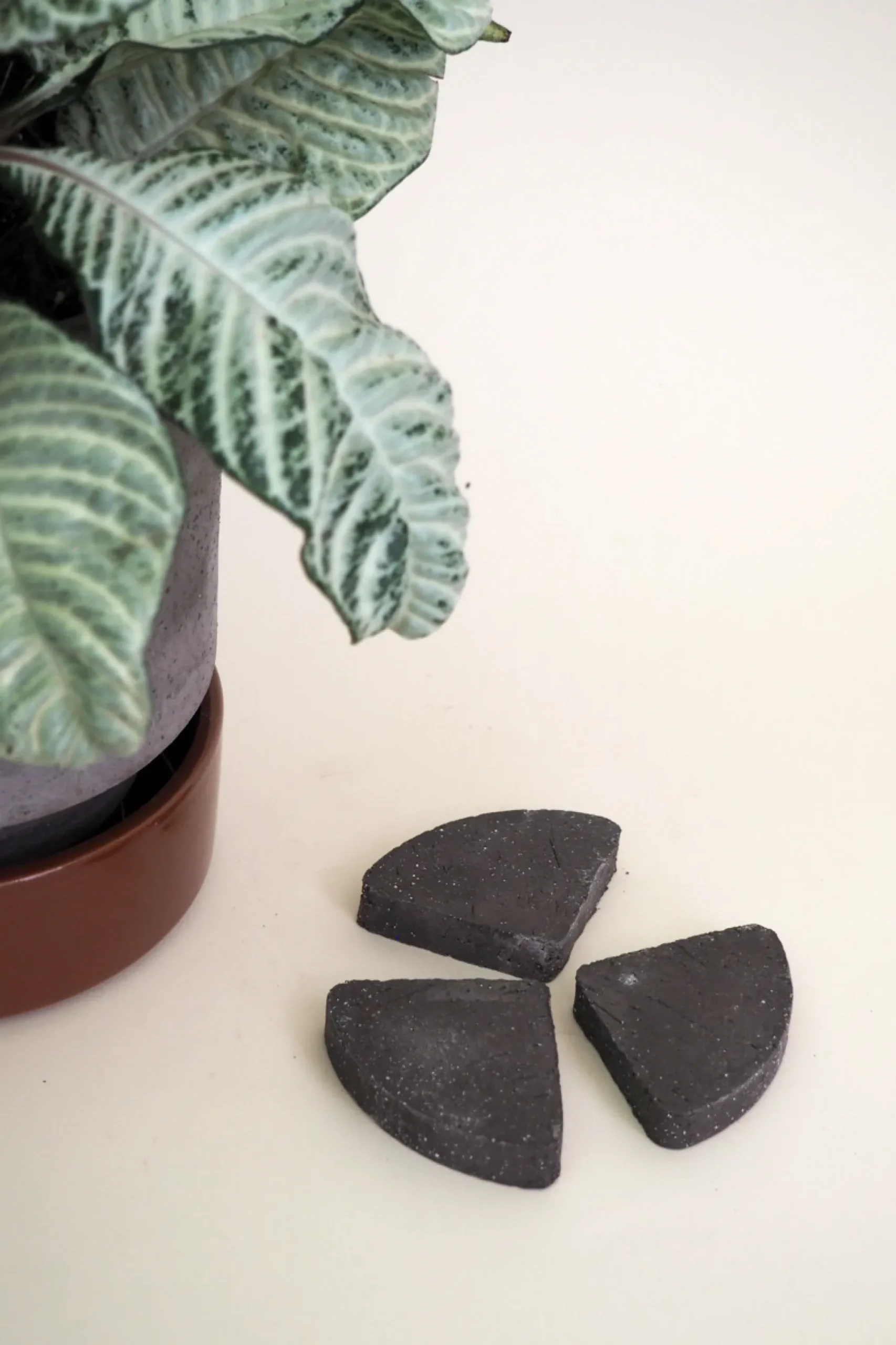 PLANT Pottefødder, grå Discount