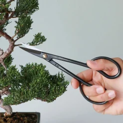 PLANT Pro Bonsai starter kit Sale