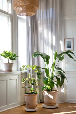 PLANT Rolling stones - rulleplade til gulver Discount