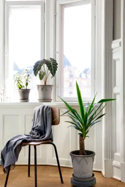 PLANT Rolling stones - rulleplade til gulver Discount