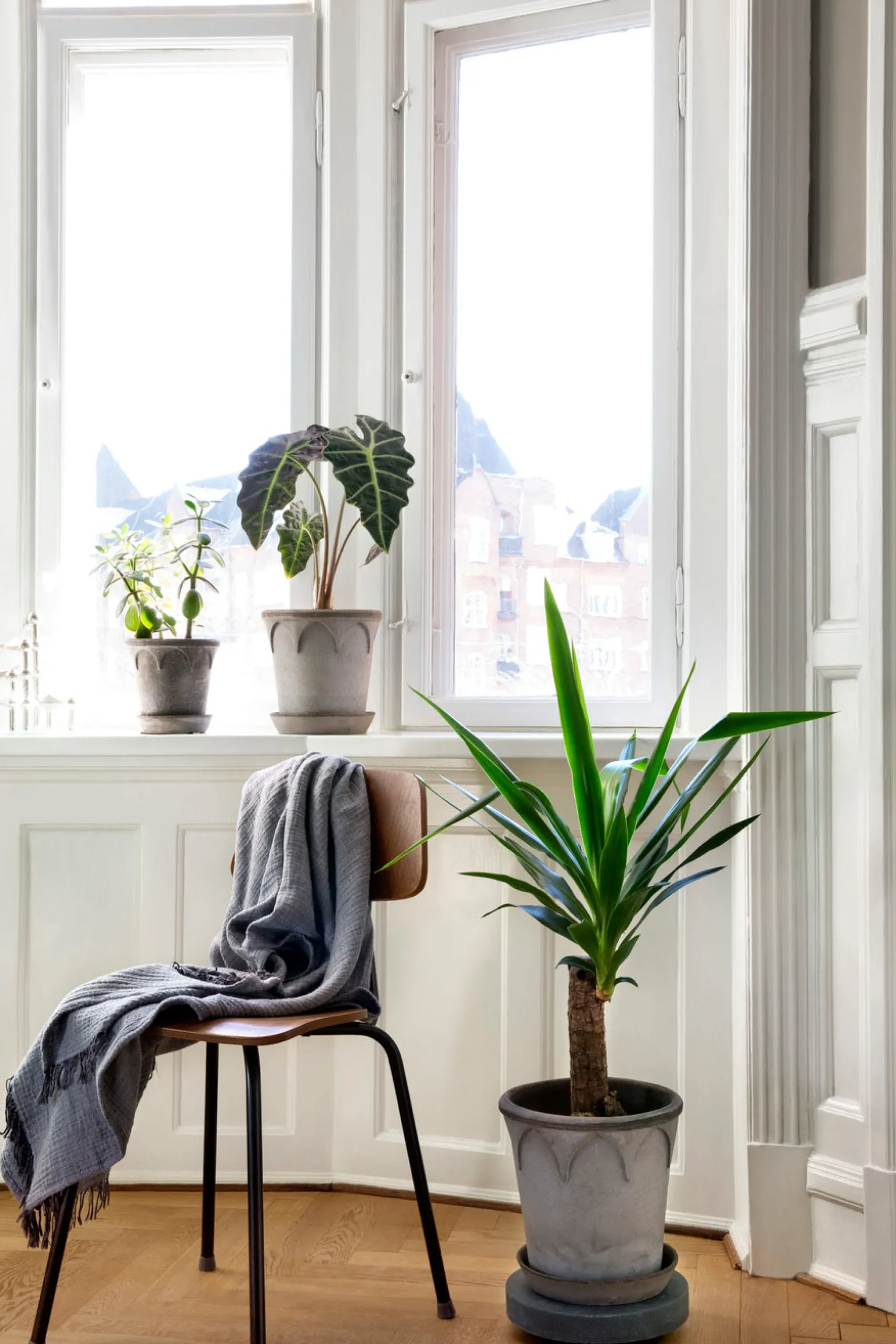 PLANT Rolling stones - rulleplade til gulver Discount