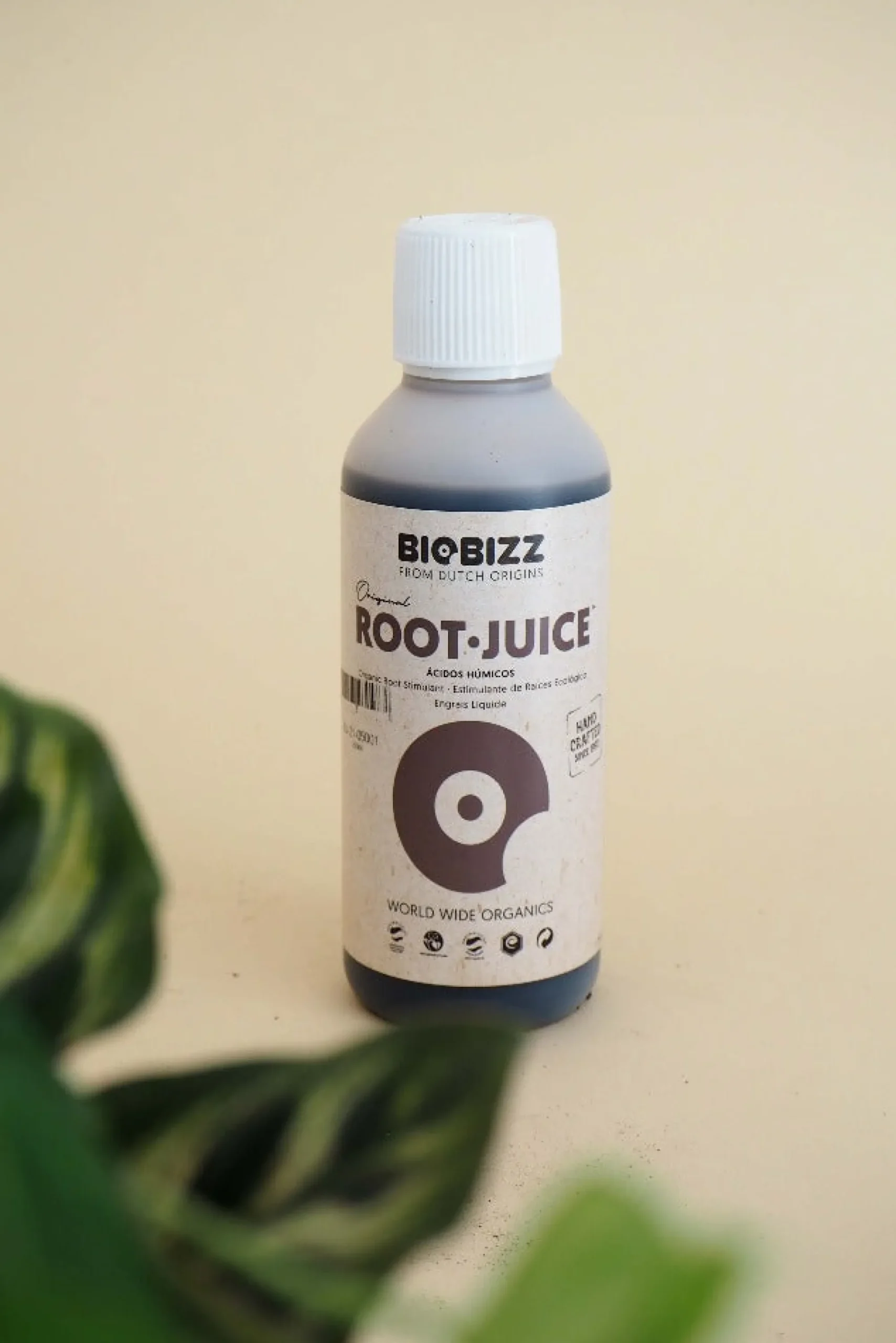 PLANT Root Juice Sale