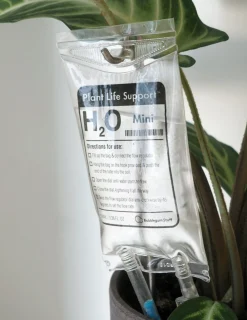 PLANT Selvvandende Life support, lille Best