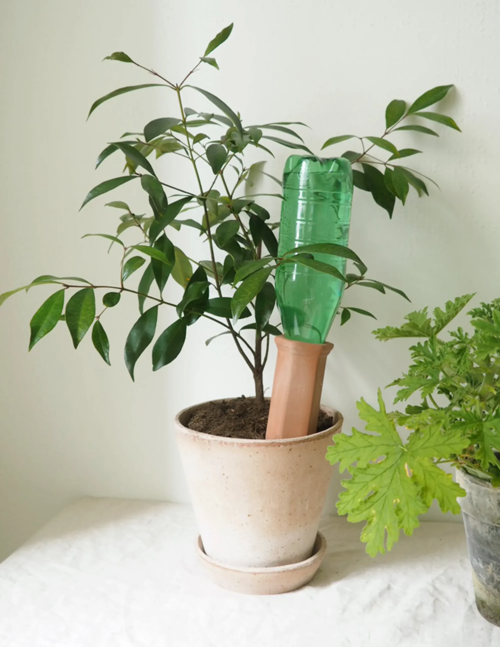PLANT Selvvandingscylinder Clearance