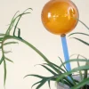 PLANT Selvvandingsglas - Amber/Blå New